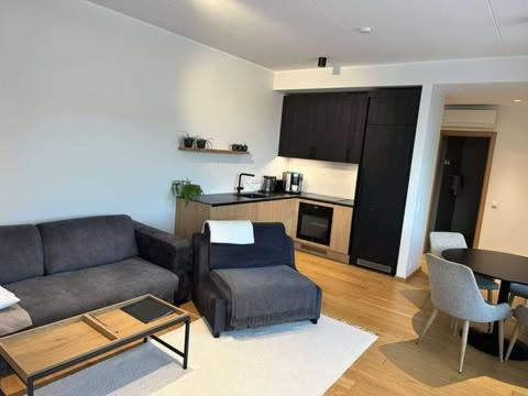 Oeoe Street Luxury Apartment With Terrace Тарту Экстерьер фото